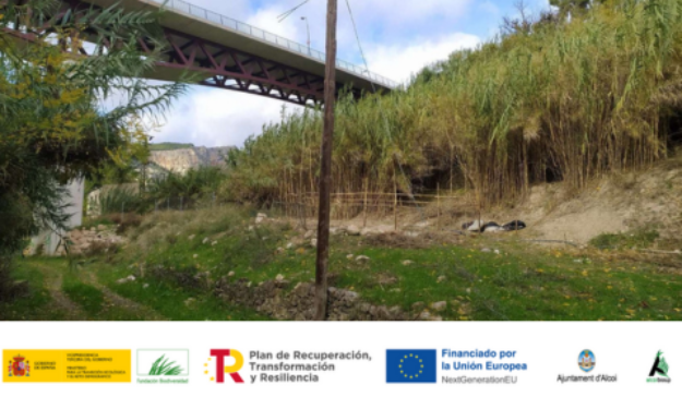 El projecte AlcoiBioUp! actuarà, sobretot, en les zones verdes lligades als barrancs i als llits dels rius