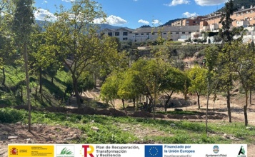 Actuacions La Vaguada amb més arbres