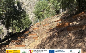 Barranquet de Soler, treballs de consolidació dels talussos