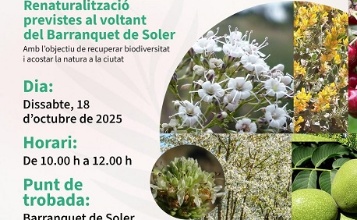 CARTELL ESDEVENIMENT ALCOIBIOUP