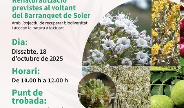 CARTEL EVENTO ALCOIBIOUP