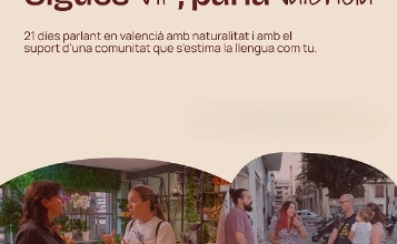 Cartell  Els VIP del valencià