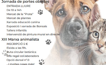 Cartell Jornada de portes obertes el 19 d'octubre