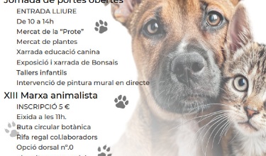 Cartel Jornada de puertas abiertas el 19 de octubre