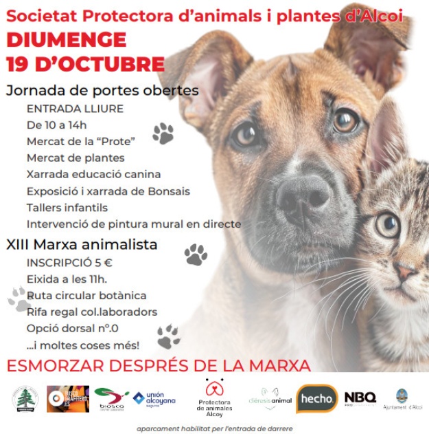 Cartell Jornada de portes obertes el 19 d'octubre