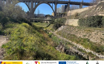 Llit del riu Barxell, on es desenvoluparan les actuacions licitades. Al fons, el pont de Sant Jordi