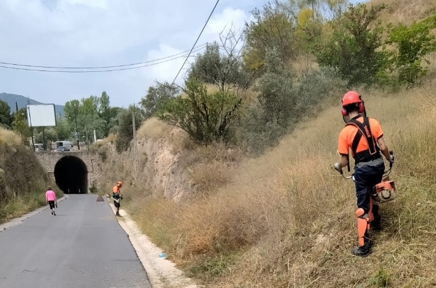 Desbrossant la zona de Mestre Ribera Montés