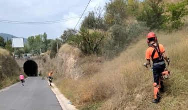 Personal de les brigades esbrossant la zona de Mestre Ribera Montés
