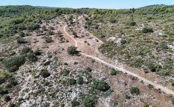 Vista aèria del tallafocs