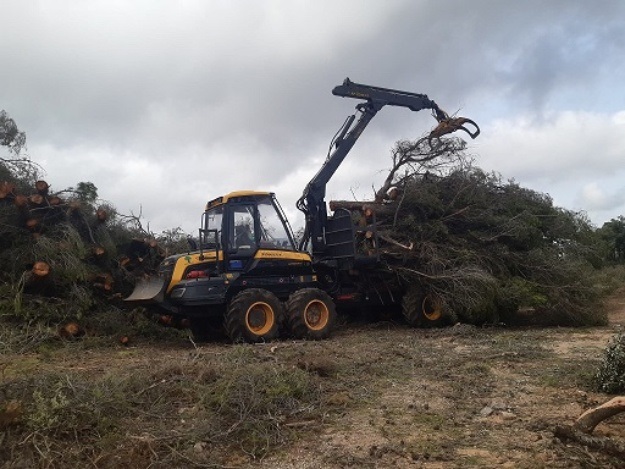 Retroexcavadora realizando trabajos forestales