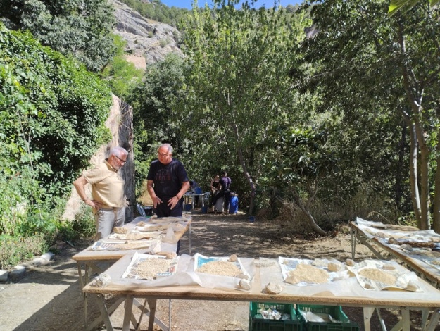 Visita d'Ignacio Trelis a les excavacions