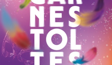 Cartell Carnestoltes Alcoi 2025
