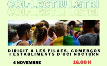 cartell formació diversitat