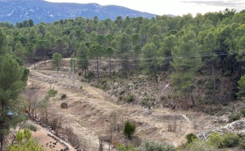 Foto de fa uns anys del tallafocs del Sargento