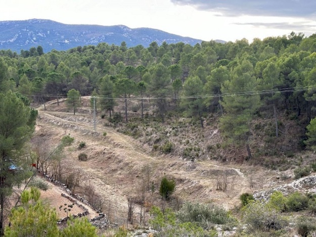 Foto de fa uns anys del tallafocs del Sargento