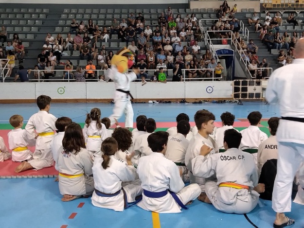 Niños y niñas participando en la competición de judo en los Jocs Esportius