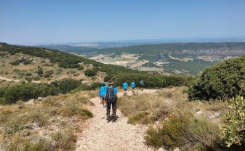Voluntariat en el camp