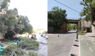 Actuación para retirar restos vegetales y restablecer el acceso a San Vicente de Paúl