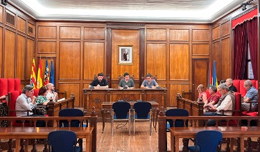 CES reunido el 18 de junio en el Salón de Plenos