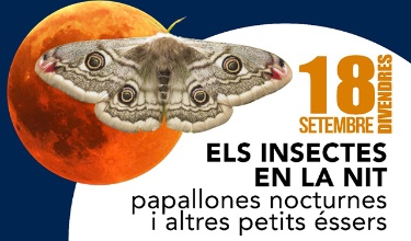 Cartell de l'Activitat Ciència Nocturna