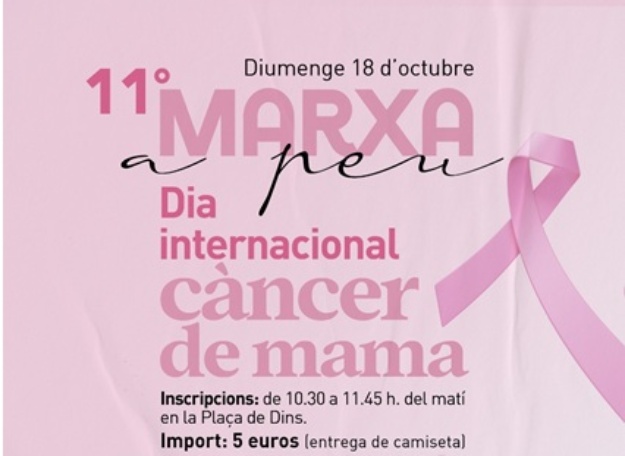 cartell dia del cancer de mama