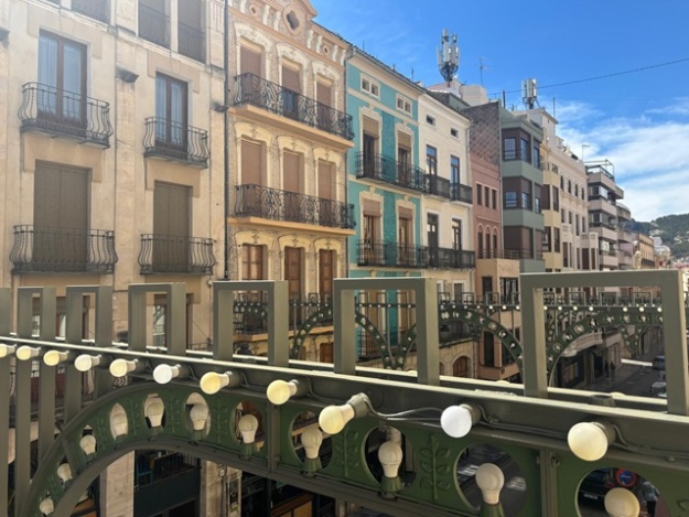 Edificis del Centre amb Balcons amb l'enramanda davant