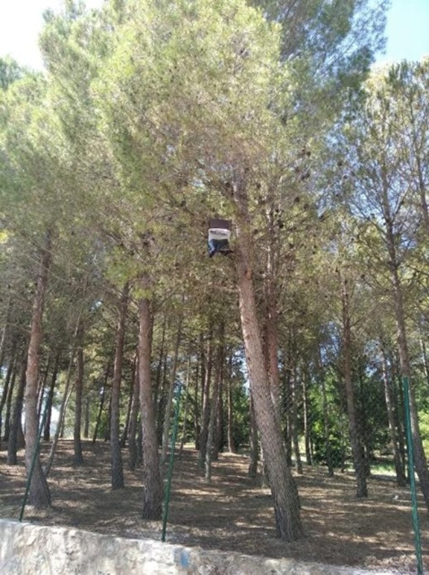 Trampa para capturar procesionaria en el Parque Canino de Cantagallet