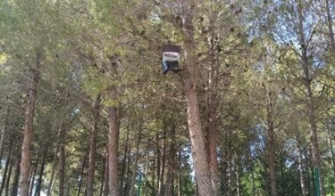 Trampa para capturar procesionaria en el Parque Canino de Cantagallet
