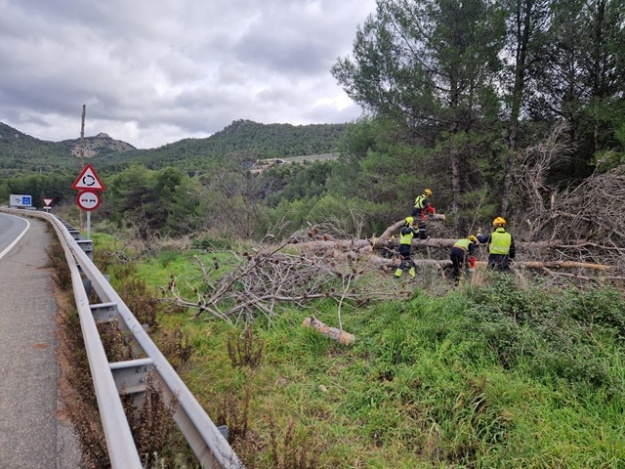 Los bomberos de la Muntanya retirando un pino seco en la zona de El Molinar