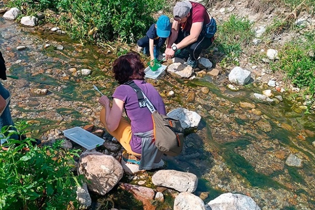 Dos adultos y un niño examinan una muestra de agua del río sobre una bandeja durante una actividad ambiental